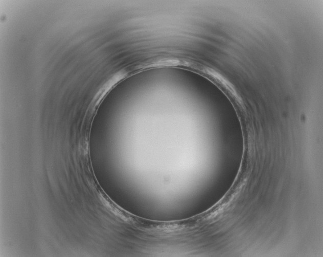 X0000072941193200608111552