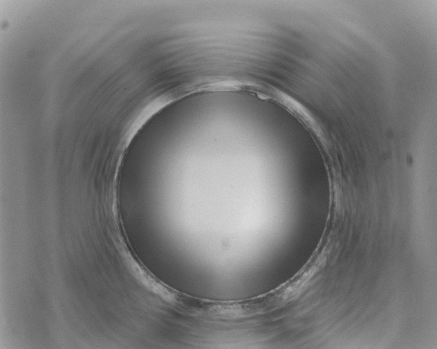 X0000072941194200608111552