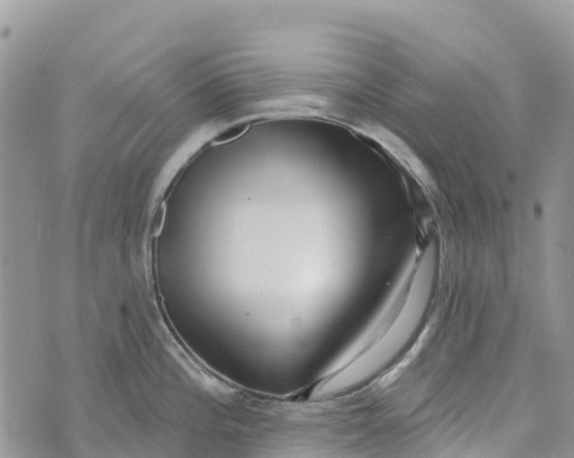 X0000072941196200608111552