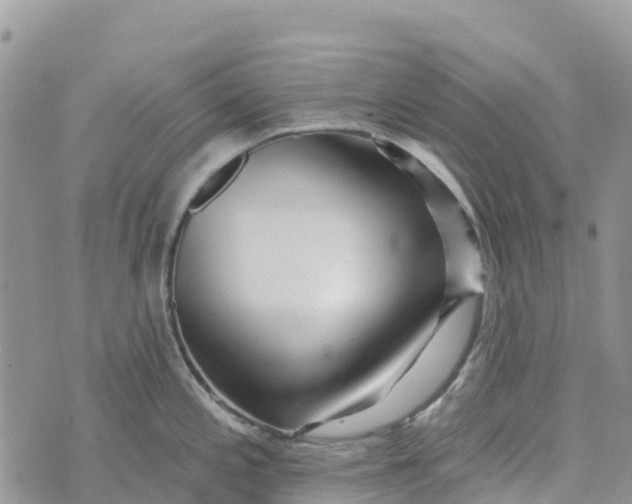 X0000072941197200608111552