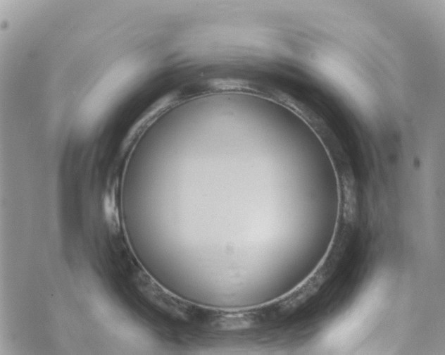 X0000072941198200608111552