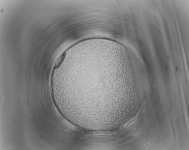 X0000072941199200608111552