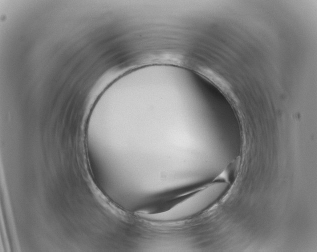 X0000072941200200608111552