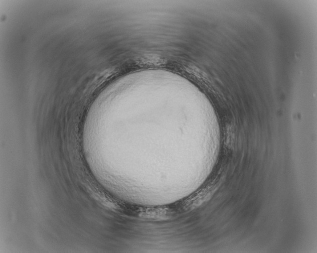 X0000072941201200608111552