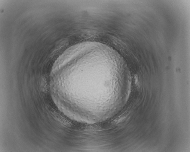 X0000072941203200608111552