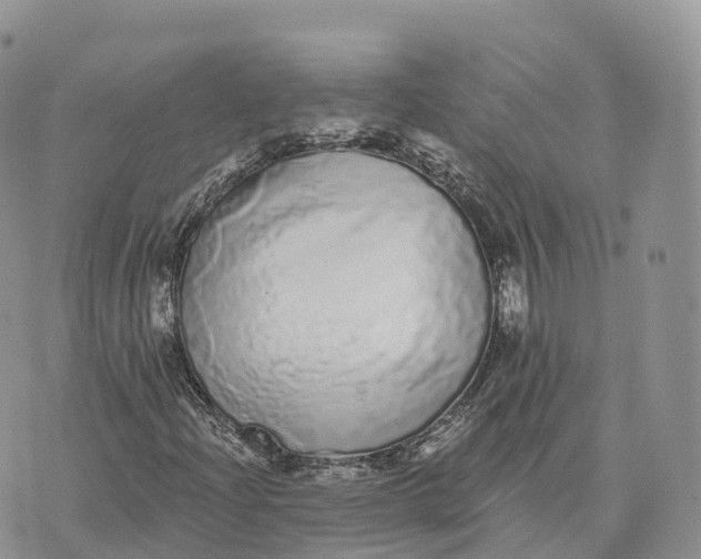 X0000072941204200608111552