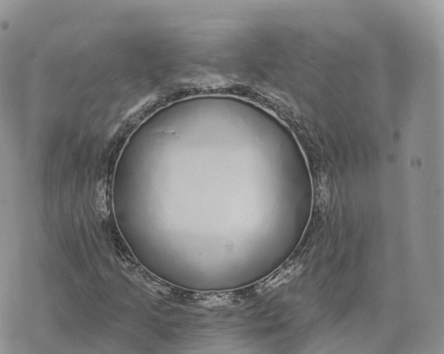 X0000072941205200608111552