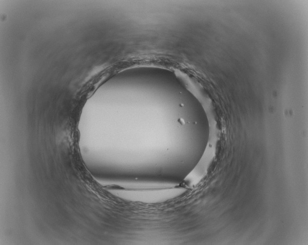 X0000072941206200608111552