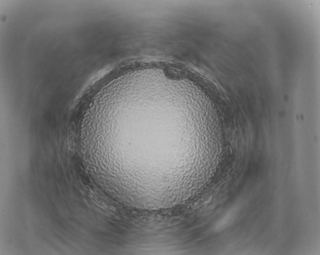 X0000072941207200608111552