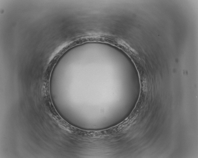 X0000072941208200608111552