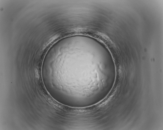 X0000072941209200608111552