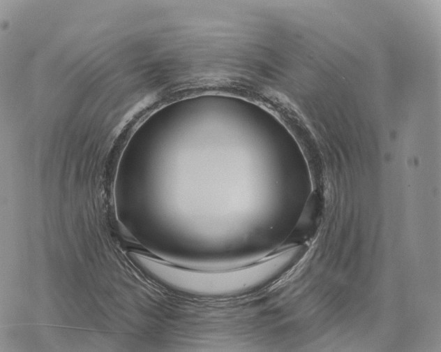 X0000072941210200608111552