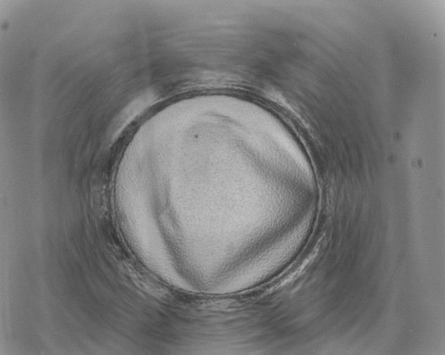 X0000072941211200608111552