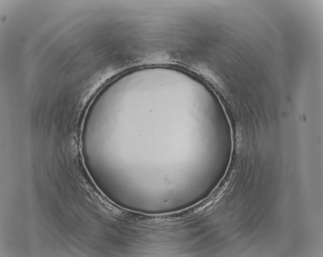 X0000072941212200608111552