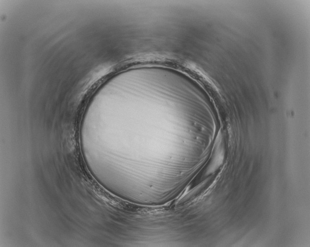 X0000072941213200608111552