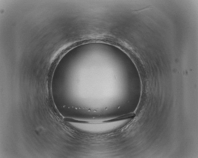 X0000072941214200608111552