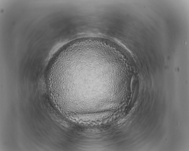 X0000072941215200608111552