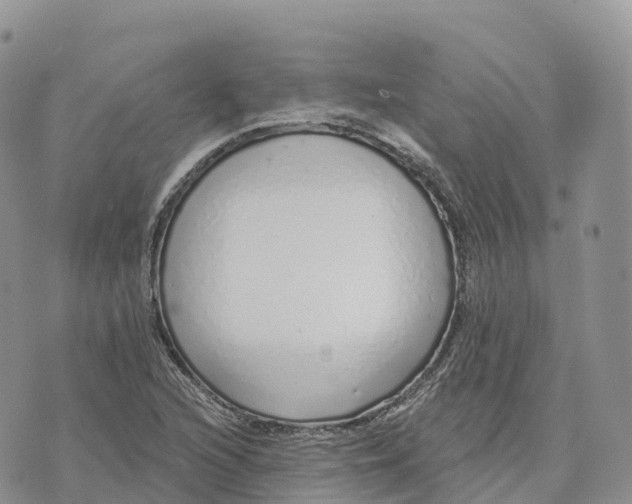 X0000072941216200608111552