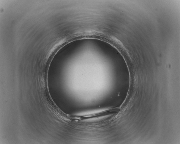 X0000072941218200608111552