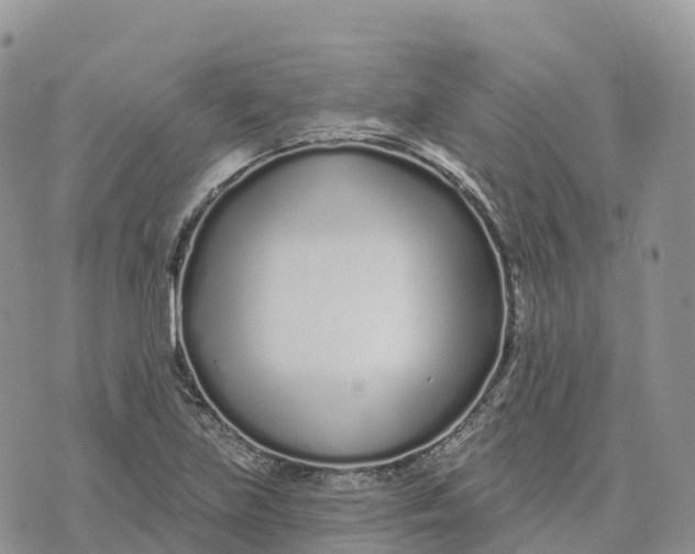 X0000072941219200608111552