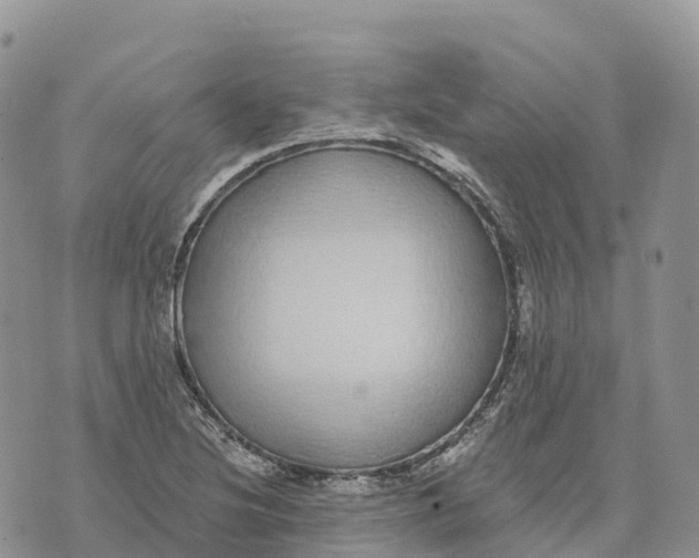 X0000072941220200608111552