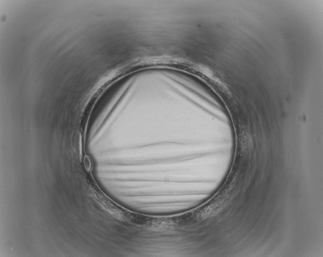 X0000072941221200608111552