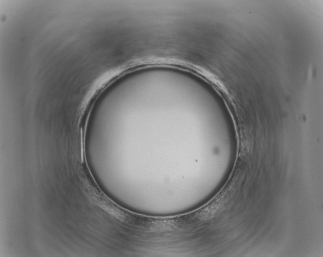 X0000072941223200608111552