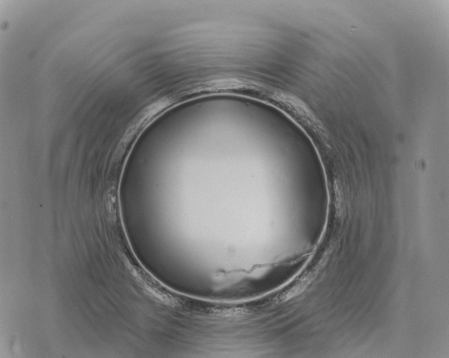 X0000072941225200608111552