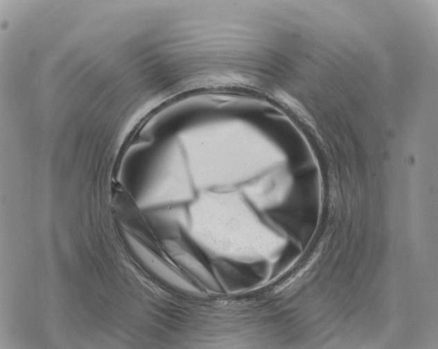 X0000072941226200608111552