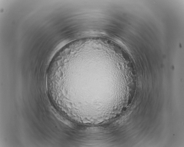 X0000072941227200608111552