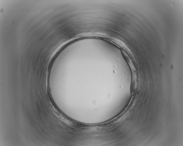 X0000072941228200608111552