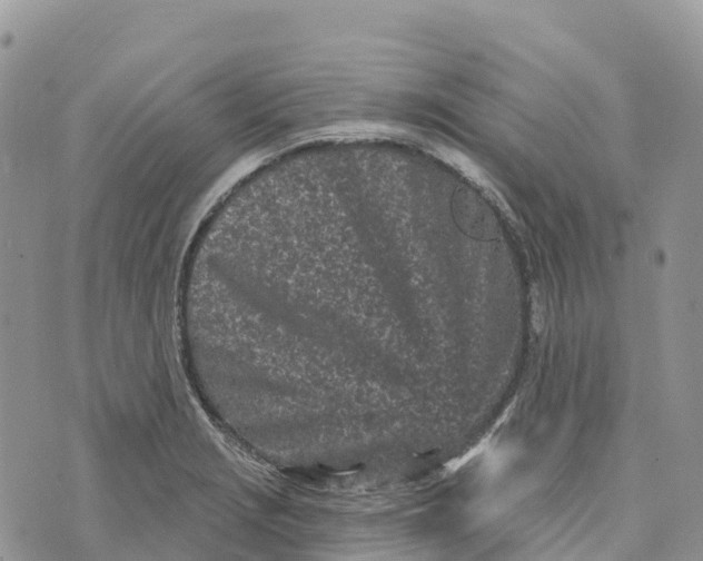 X0000072941229200608111552