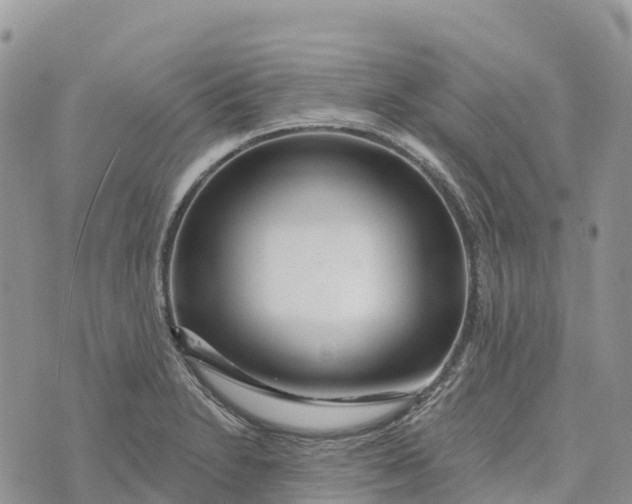 X0000072941230200608111552