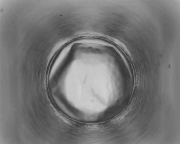 X0000072941231200608111552