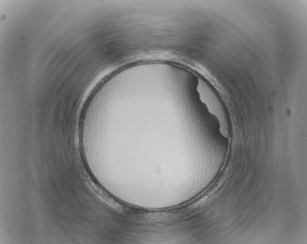 X0000072941232200608111552