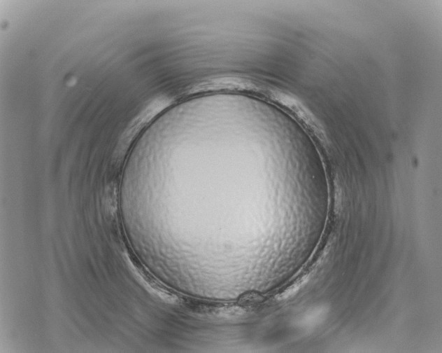 X0000072941233200608111552