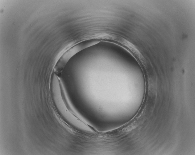 X0000072941234200608111552