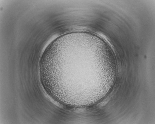 X0000072941235200608111552