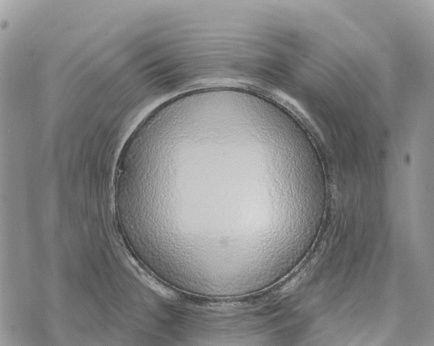 X0000072941236200608111552