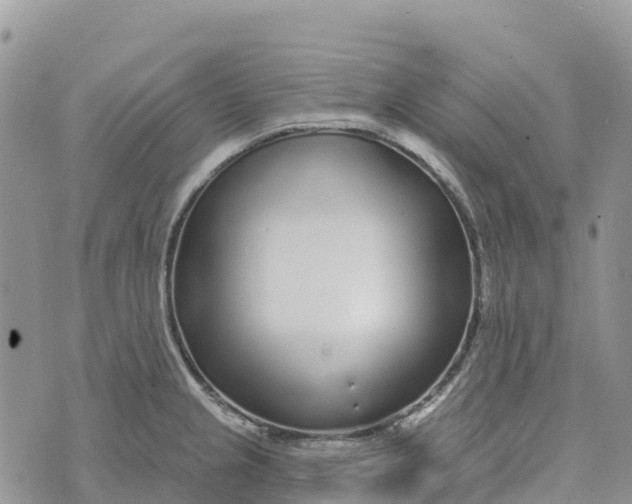 X0000072941237200608111552