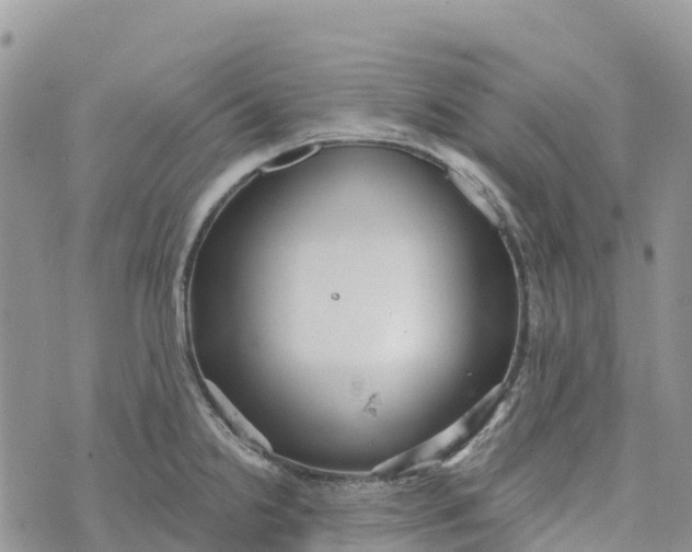 X0000072941238200608111552