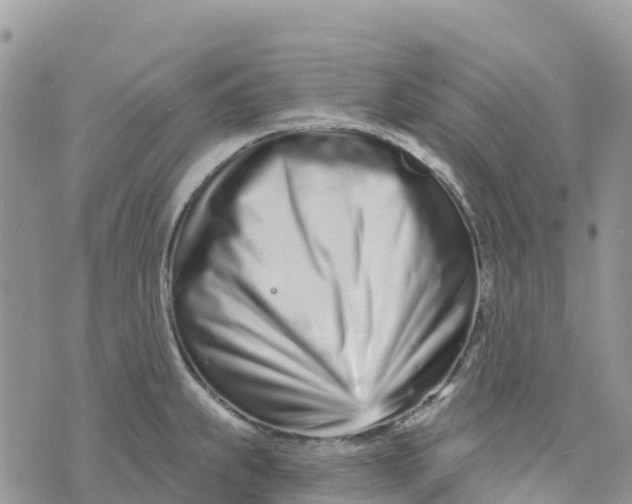 X0000072941239200608111552