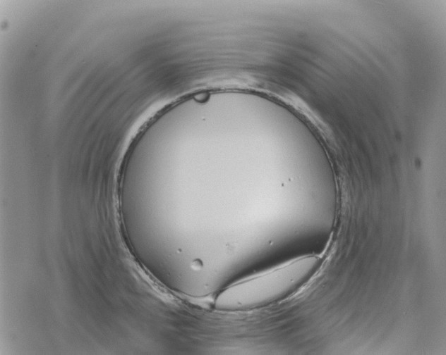 X0000072941240200608111552