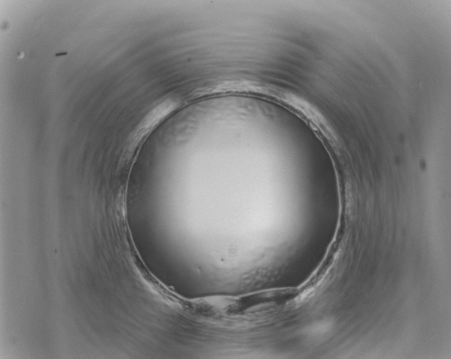 X0000072941241200608111552