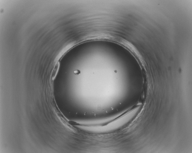 X0000072941242200608111552