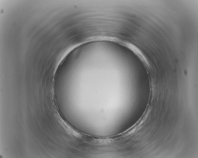 X0000072941244200608111552