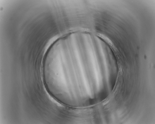 X0000072941247200608111552