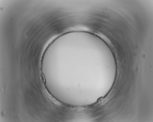 X0000072941248200608111552