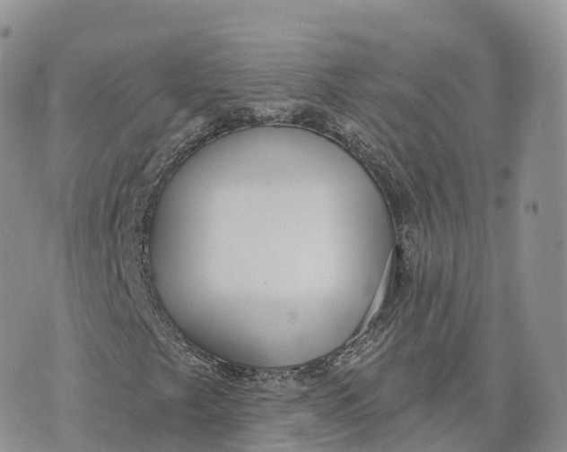 X0000072941249200608111552