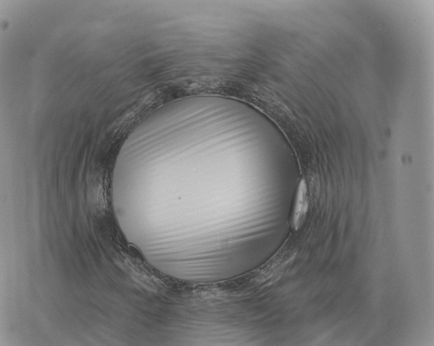 X0000072941250200608111552